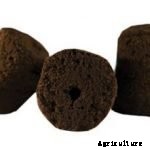 Hydroponics for Kids: Build a 2 Liter Bottle Garden