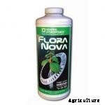 Hydroponics for Kids: Build a 2 Liter Bottle Garden