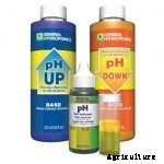 Hydroponics for Kids: Build a 2 Liter Bottle Garden