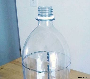 Hydroponics for Kids: Build a 2 Liter Bottle Garden