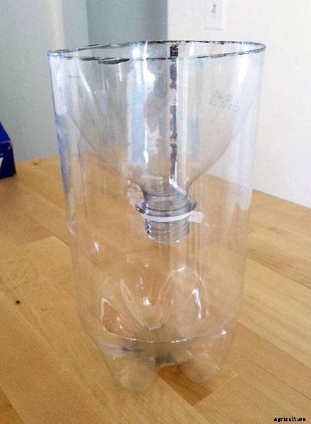 Hydroponics for Kids: Build a 2 Liter Bottle Garden