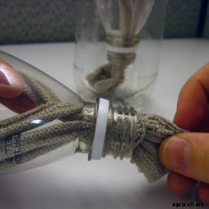 Hydroponics for Kids: Build a 2 Liter Bottle Garden