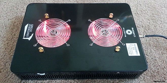 Growing Plants with LEDs: An Epic Gardening Guide