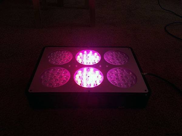 Growing Plants with LEDs: An Epic Gardening Guide