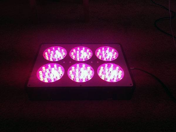 Growing Plants with LEDs: An Epic Gardening Guide