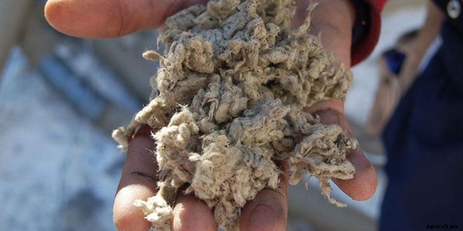 Is Rockwool Harmful? Yes, But…