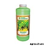 Hydroponic Herb Garden Guide