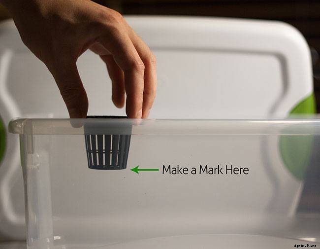 Hydroponic Herb Garden Guide