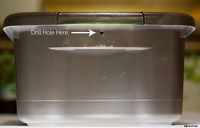 Hydroponic Herb Garden Guide