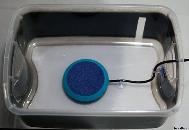 Hydroponic Herb Garden Guide