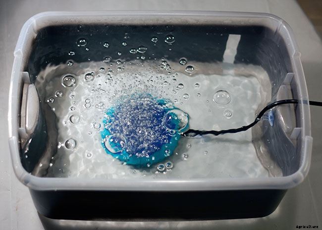 Hydroponic Herb Garden Guide