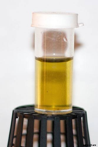 Hydroponic Herb Garden Guide