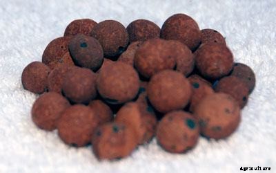 Hydroponic Growing Media