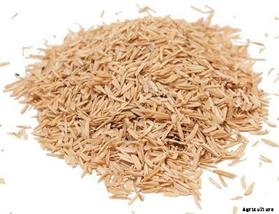 Hydroponic Growing Media