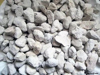 Hydroponic Growing Media