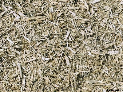 Hydroponic Growing Media