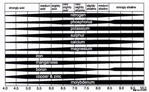 pH And Nutrient Availability: What To Know