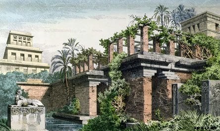 History of Hydroponics: When Was Hydroponics Invented?