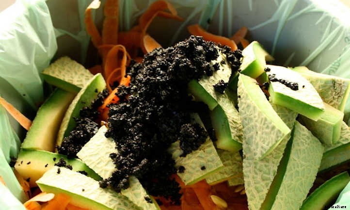 Coffee Grounds In Garden Spaces: A Guide