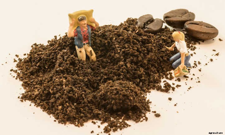 Coffee Grounds In Garden Spaces: A Guide