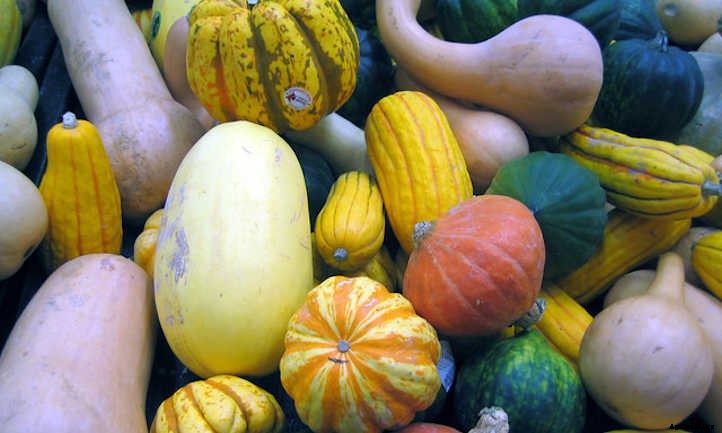 How To Store Squash: The Ultimate Guide