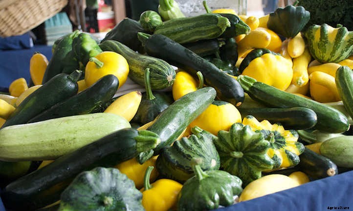 How To Store Squash: The Ultimate Guide