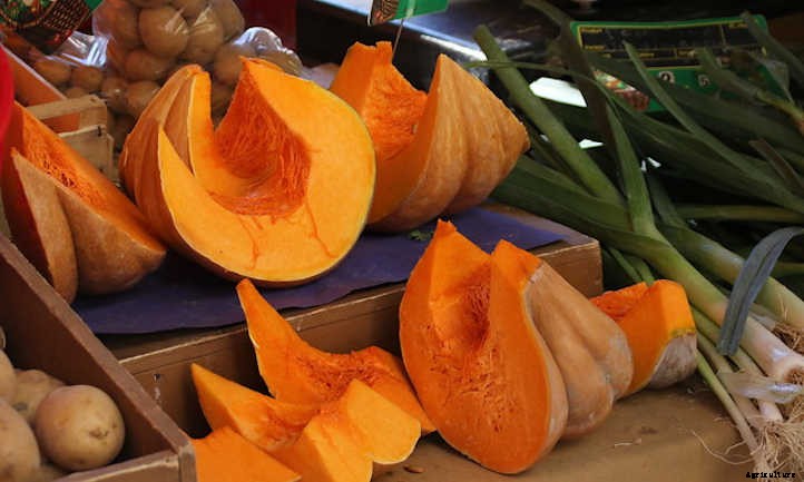 How To Store Squash: The Ultimate Guide