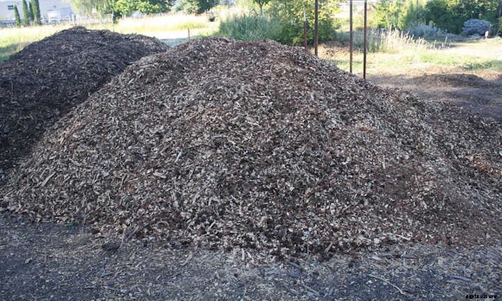 Wood Chip Mulch: Everything You Should Know