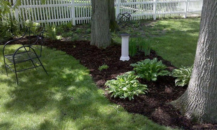 Mulch Around Trees: Good Or Bad?