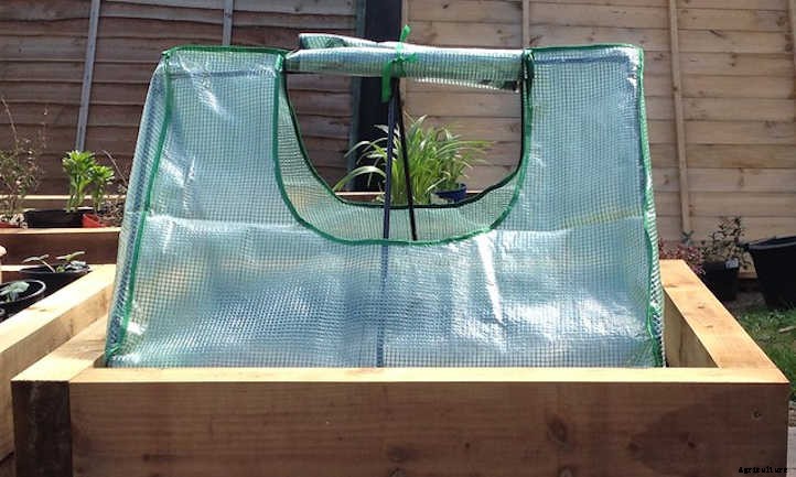 Raised Bed Greenhouse Gardens: Tips & Tricks