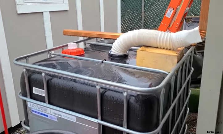 Collecting Rainwater: Hints, Tips, And Tricks