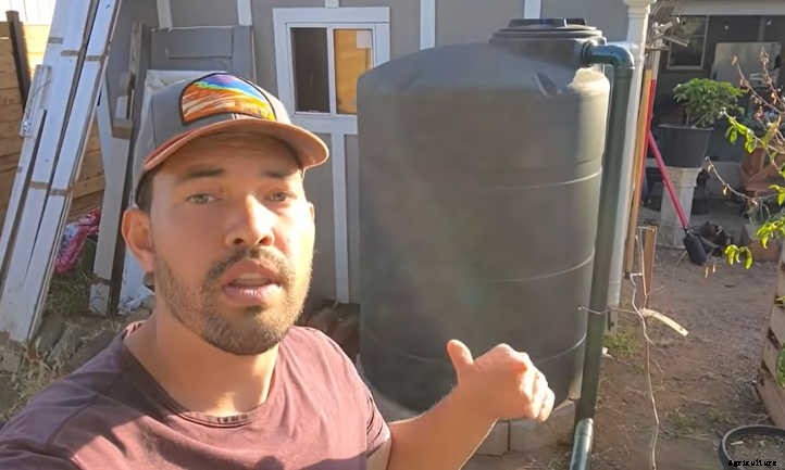 Collecting Rainwater: Hints, Tips, And Tricks