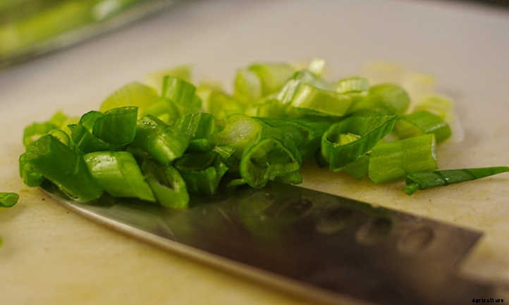 How To Grow Green Onions Or Scallions