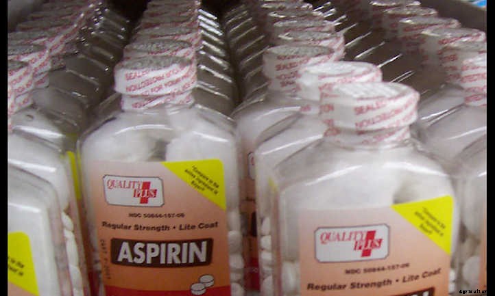 Aspirin For Plants: Does It Actually Help?