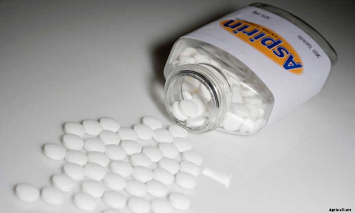 Aspirin For Plants: Does It Actually Help?