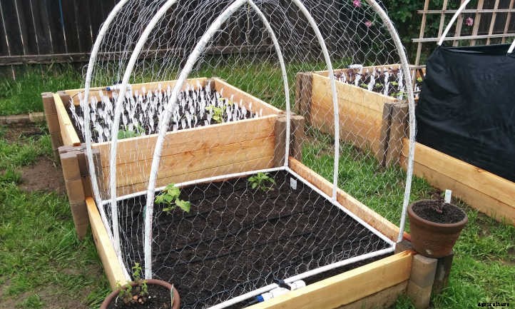 Keep Cats Out Of Garden Spaces With These Tips