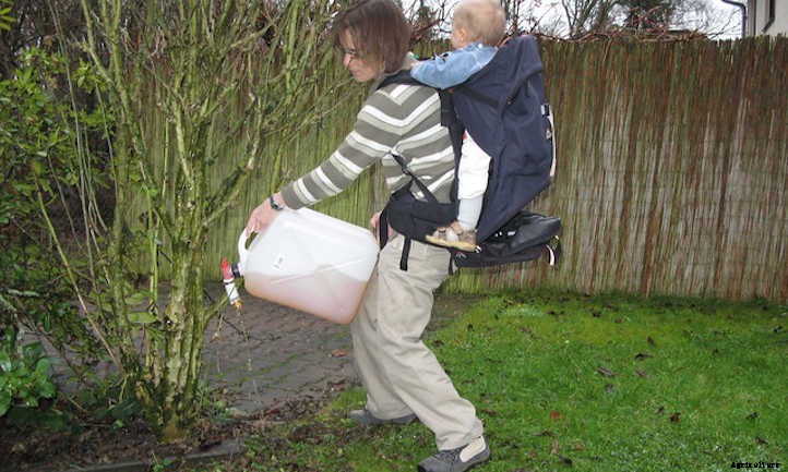 Urine As Fertilizer: Myth Or Valid Method?