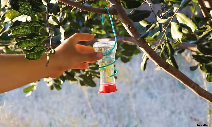 DIY Hummingbird Feeder: 4 Easy Designs