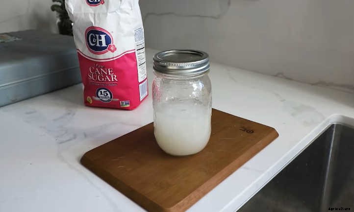 DIY Hummingbird Feeder: 4 Easy Designs