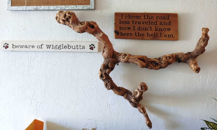 DIY Air Plant Display: Mounting Tillandsias