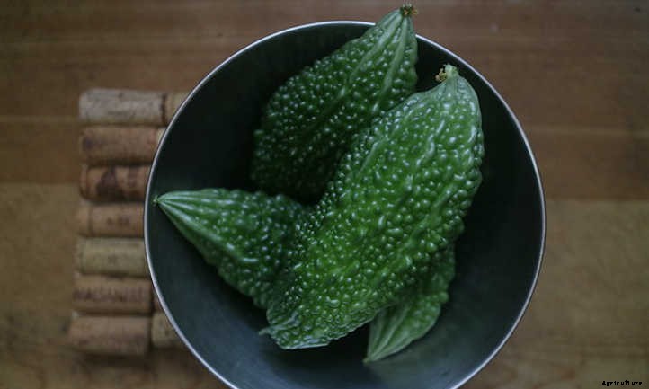 33 Asian Vegetables You Should Grow