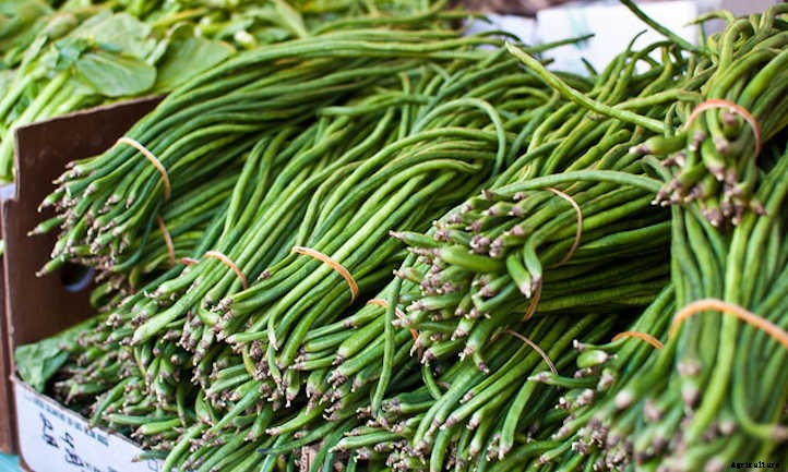 33 Asian Vegetables You Should Grow