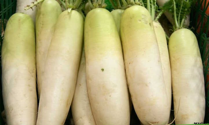 33 Asian Vegetables You Should Grow