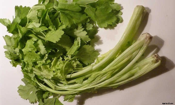 33 Asian Vegetables You Should Grow