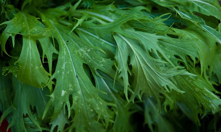 33 Asian Vegetables You Should Grow