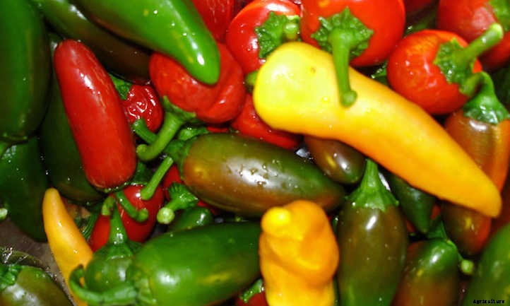 33 Asian Vegetables You Should Grow