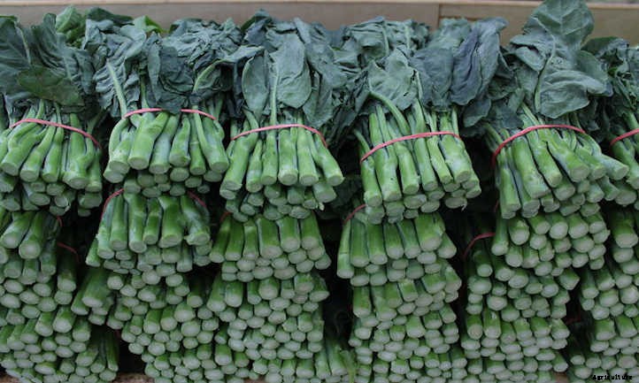 33 Asian Vegetables You Should Grow