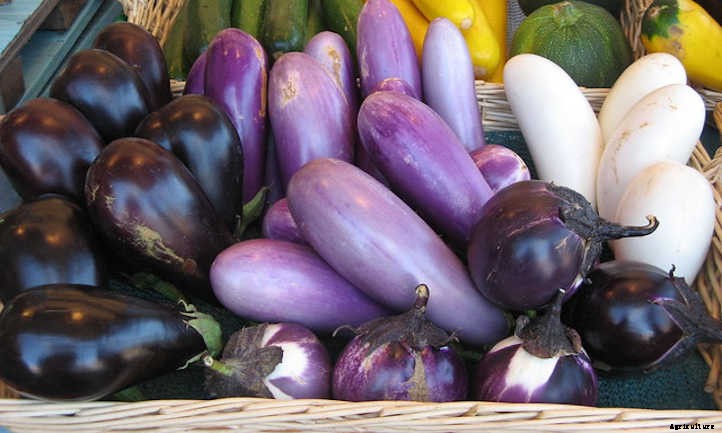 33 Asian Vegetables You Should Grow