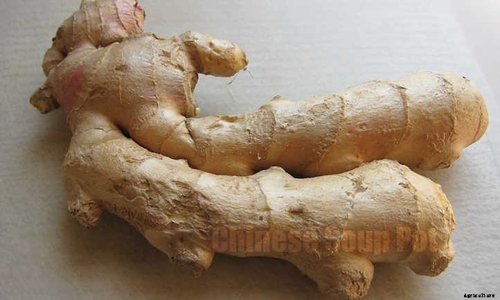 33 Asian Vegetables You Should Grow