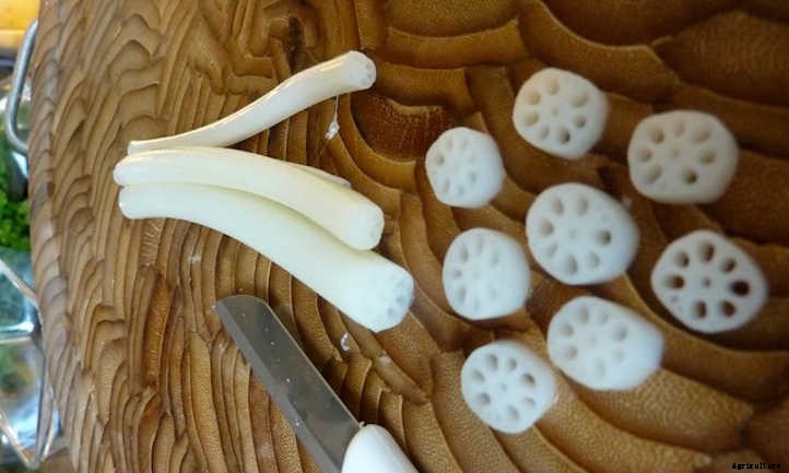 33 Asian Vegetables You Should Grow